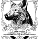 Illustration for article titled Have you seen this Direwolf? Arya Starks Lost Dog Poster